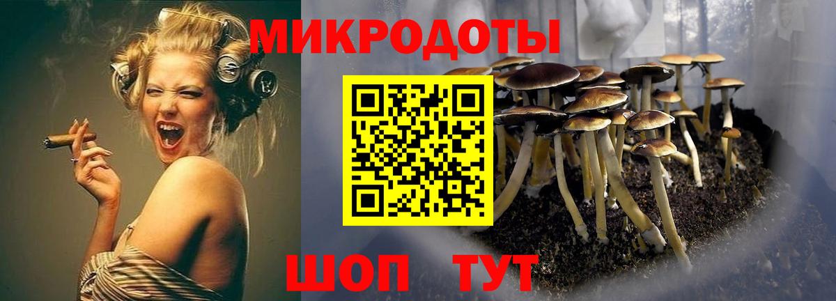 Шелехов  где найти   Вход с VPN  Галлюциногенные грибы прущие грибы  Псилоцибиновые грибы MAGIC MUSHROOMS 